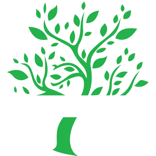Elevate Namibia